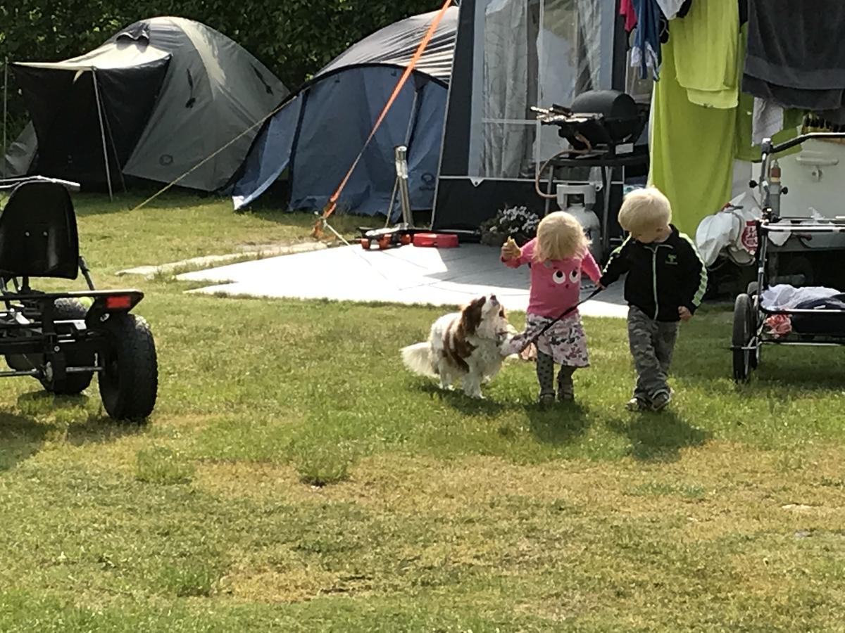 Vorbasse Camping Екстериор снимка